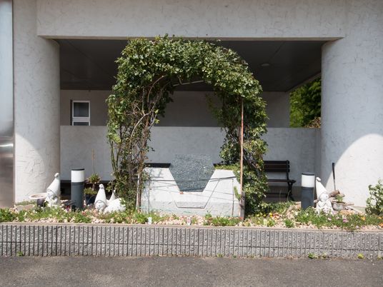 中庭の緑とベンチ