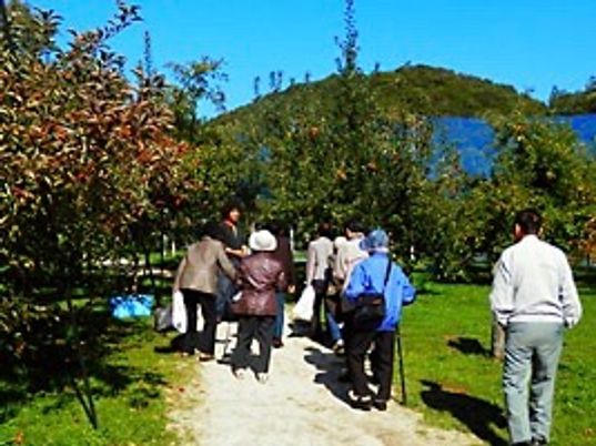 散歩する人々と中庭