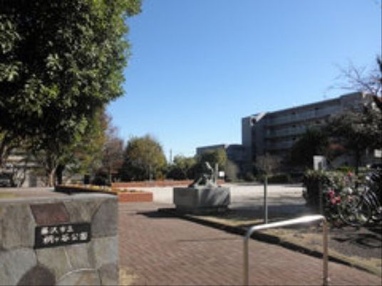 中庭の清々しい風景