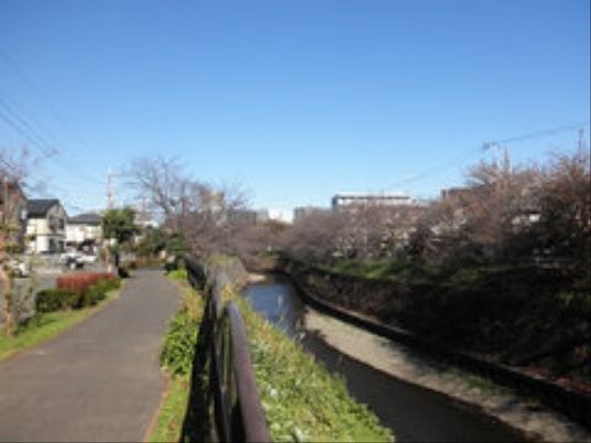散歩道沿いの風景