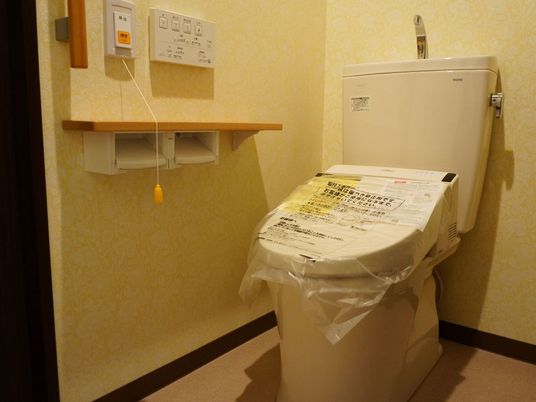 洋式トイレと手すり