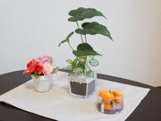 テーブルの上の観葉植物