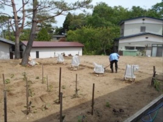 庭で作業する人の光景