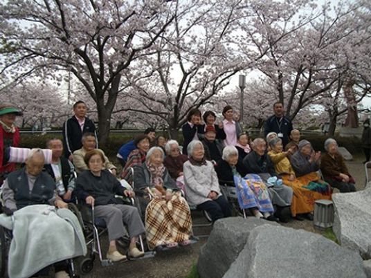 桜木の下の集合