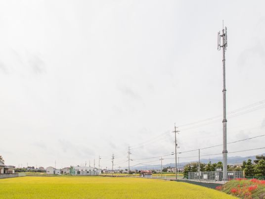 緑豊かな環境の風景