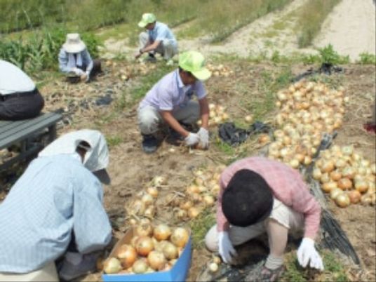 農作業をする人々