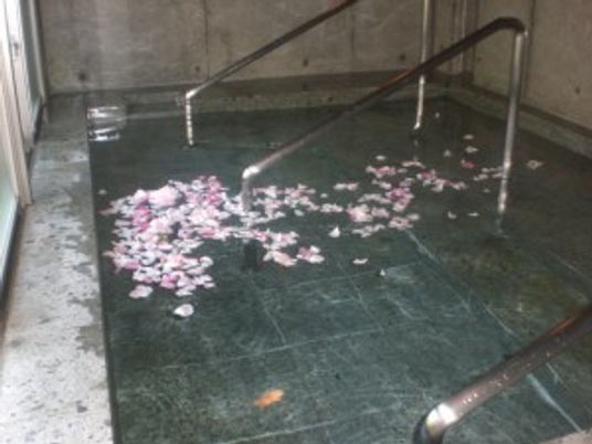 桜の花びらの浴室