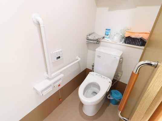 手すり付き清潔なトイレ