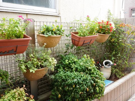植物が並ぶ癒しの庭
