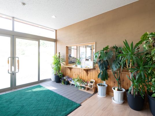 エントランスの植物と受付
