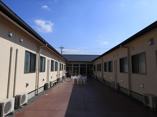 中庭の明るい景色