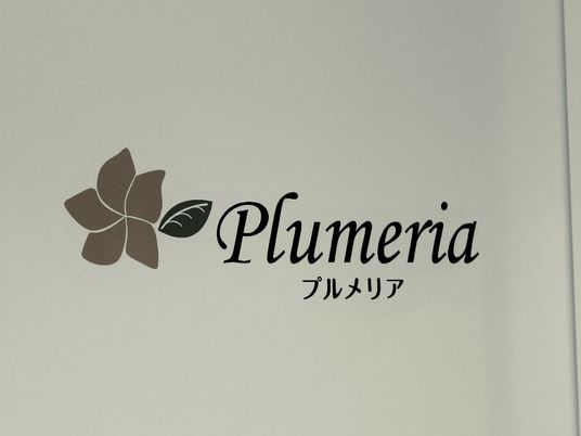 ロゴデザインの壁面