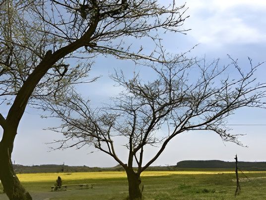 中庭の植物と休憩者