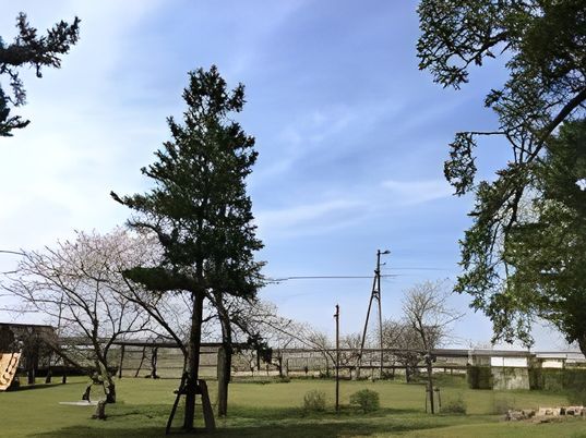 緑豊かな中庭風景