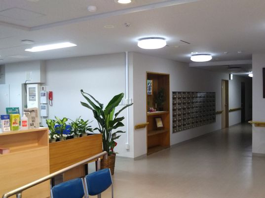 廊下と植物の和み空間