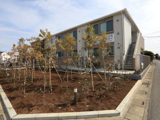 白壁の建物と新しい植栽