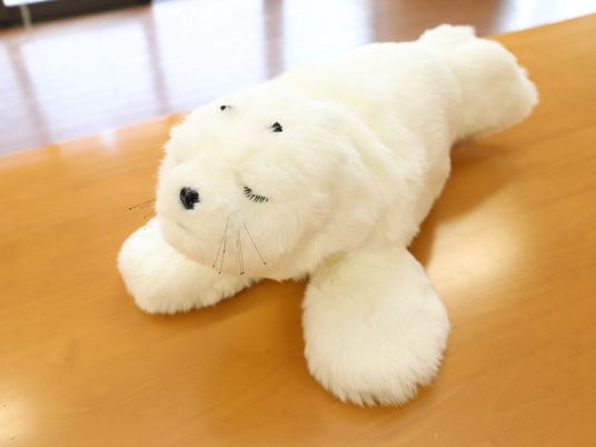 ぬいぐるみのアザラシ
