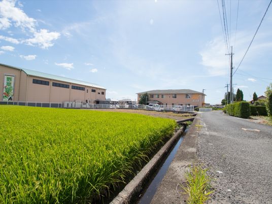 緑豊かな外観