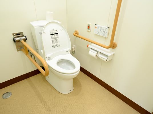 手すり付きの清潔なトイレ