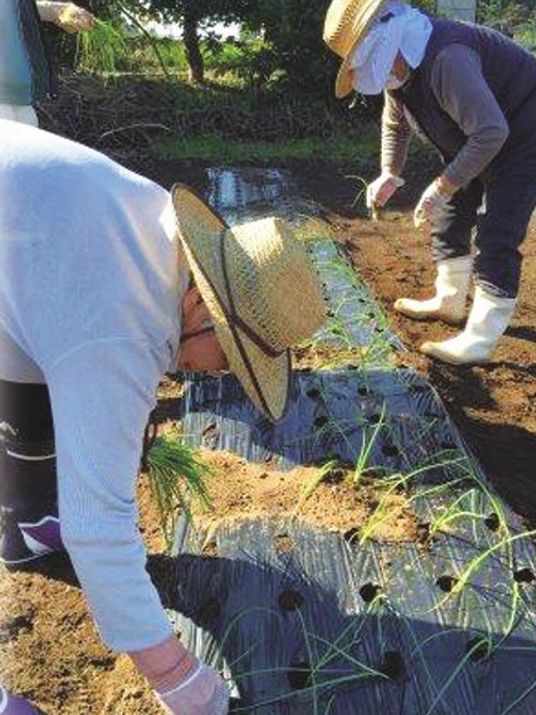 農作業に勤しむ人々