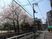 桜並木の街並み