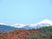 紅葉と雪山の眺望