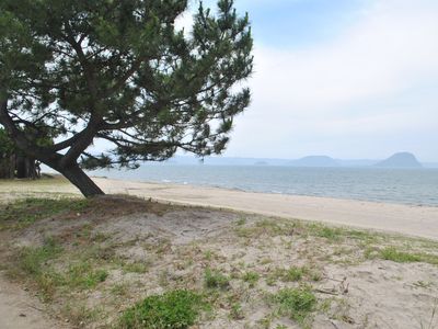 松の木と海岸の景色