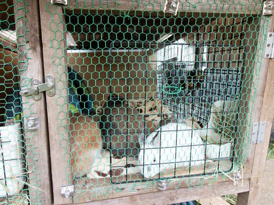 動物のいる小屋