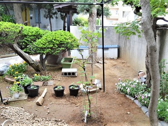 緑に囲まれた院内中庭