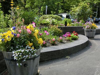 華やかな植栽のエントランス