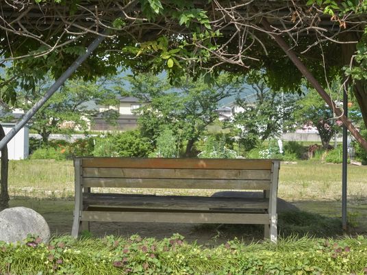 中庭のベンチ