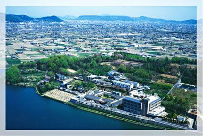 広がるフィールドの外観