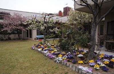 色鮮やかな花の中庭