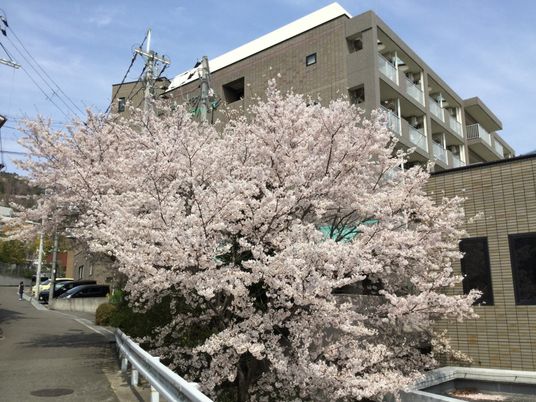 スタッフと笑顔の入居者