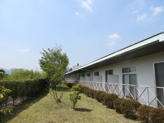 静かな中庭風景