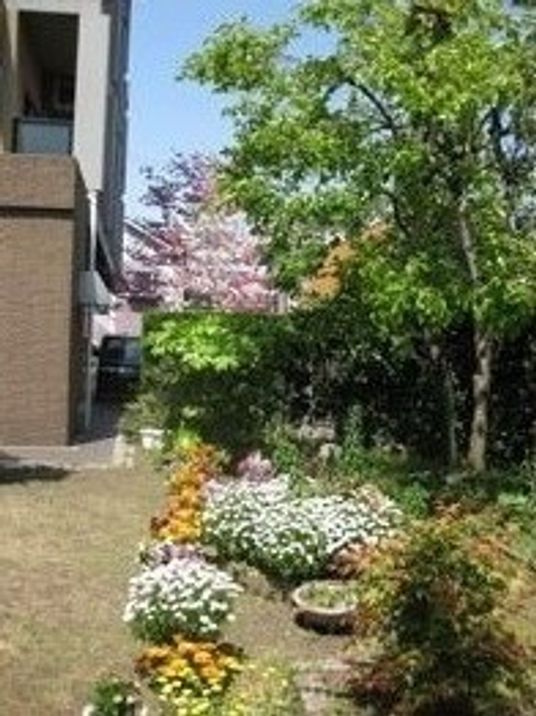 緑豊かな中庭