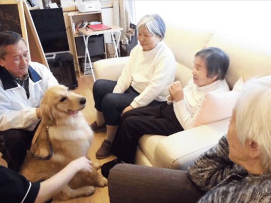 犬と触れ合う人々の笑顔