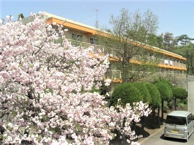 桜と施設の外観