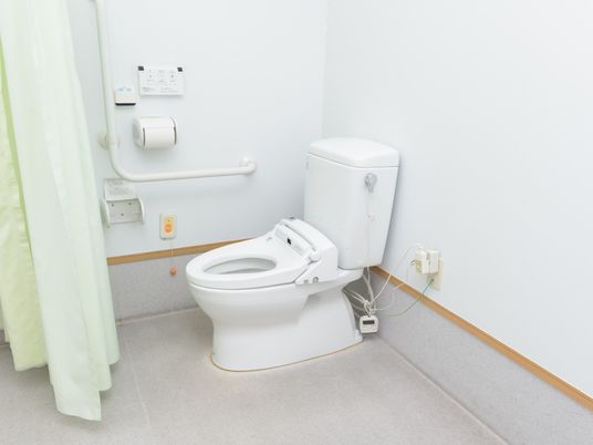 手すり付き清潔なトイレ