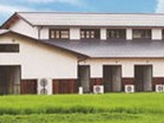 緑に囲まれた建物
