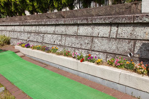 色鮮やかな花壇の庭