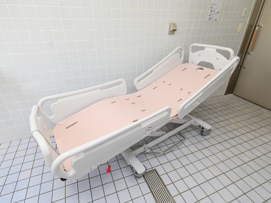高機能な浴室用ベッド