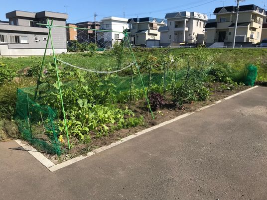 手入れされた施設の庭