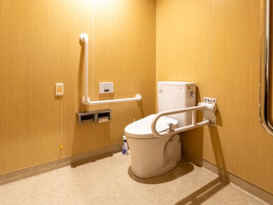 安全設備のトイレ