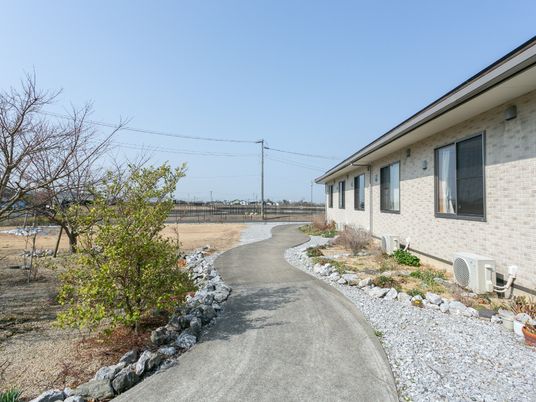 中庭の風景