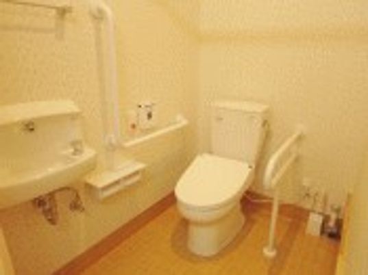 手すり付き清潔なトイレ
