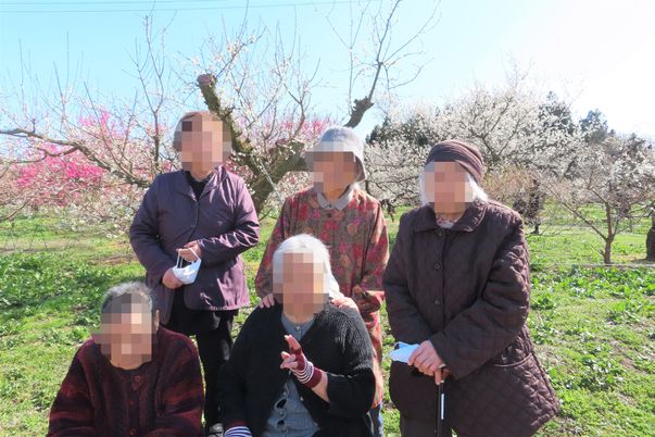 桜の下で過ごす人々
