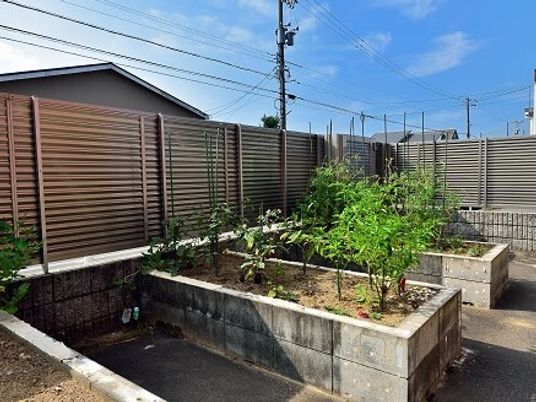 緑あふれる中庭風景