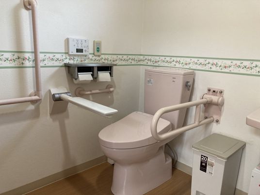 安全な設備のトイレ