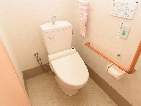 手すり付き清潔なトイレ